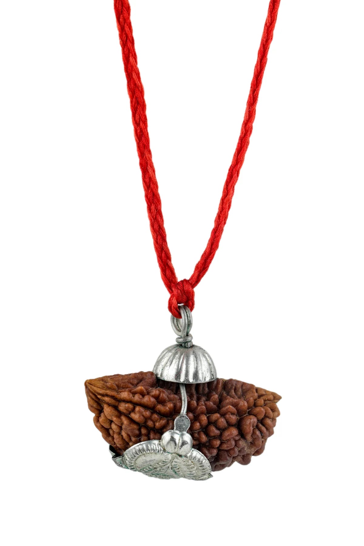 1 Mukhi Rudraksha – The Crown of Spiritual Power
